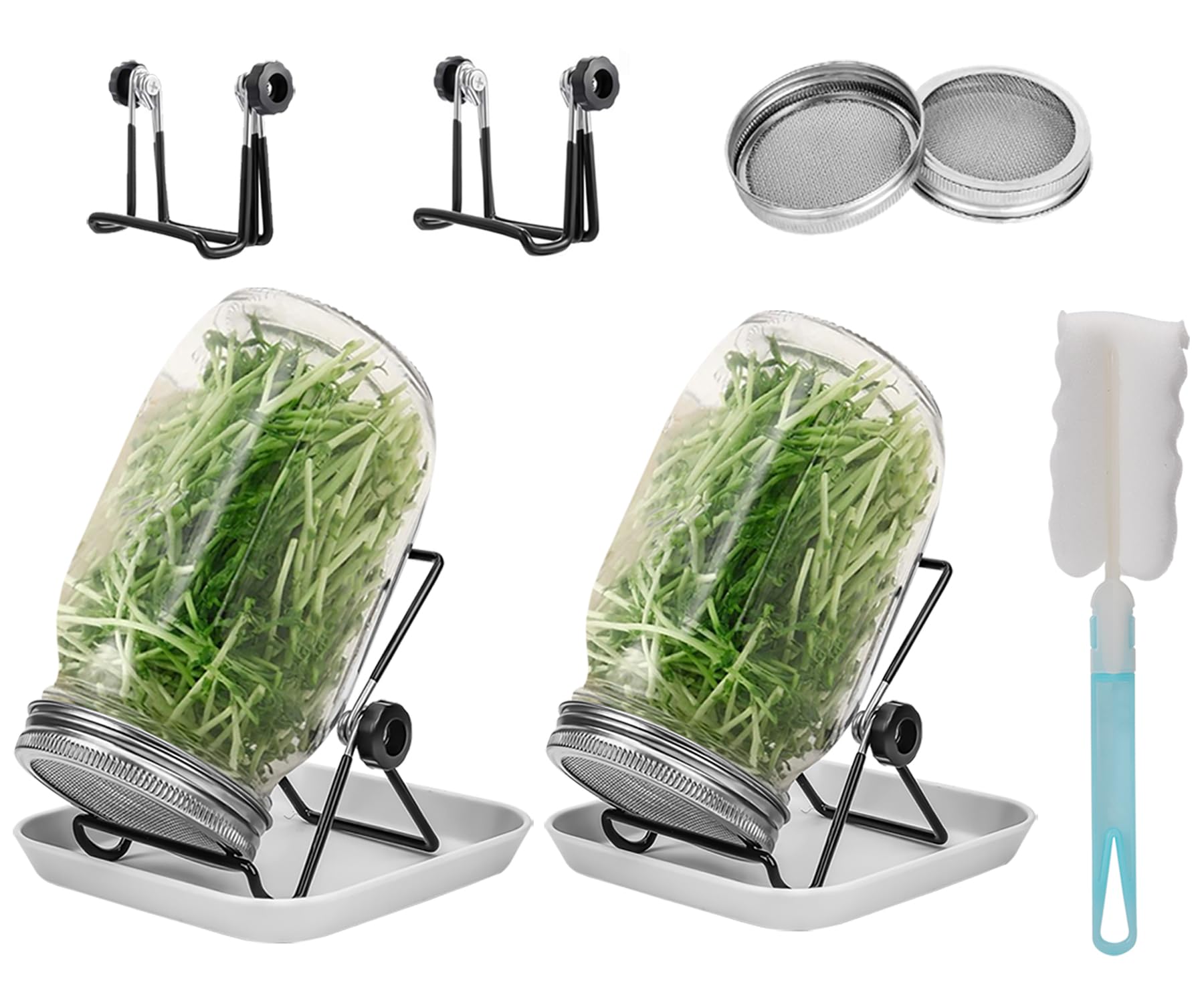 Lulonpon 2pcs Sprouts Growing Jar Kit Wide Mouth Quart Mason Jars with Stainless Steel Screen Sprout Lids 86mm1000mlStandTray and Canning BrushSeed Sprouter Set for Broccoli Alfalfa Mung Bean